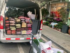 -溪岸路花鸟市场