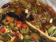 -红辣椒·川菜·火锅(科华路店)
