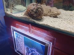 -太平洋海底世界