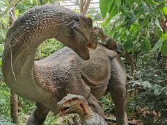 -呀路古热带植物园