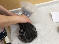 -美联众合动物医院·24h京西诊疗中心