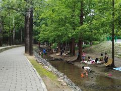 -白水寺森林公园