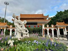 -深圳仙湖植物园