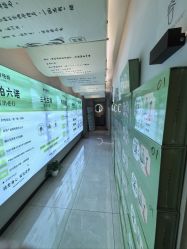 -阅年轻·AI家庭健康体质调理