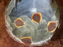 -珠海长隆海洋王国