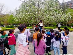 -佳禾国际美术书法教育(仁恒伊势丹校区)