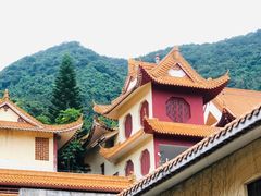 -深圳仙湖植物园