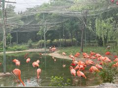 -石家庄市动物园