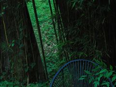 -胶囊画廊