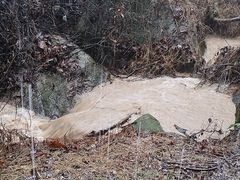 -火炉山森林公园