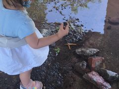 -重庆彩云湖湿地公园