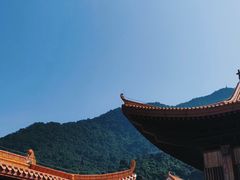 -深圳仙湖植物园