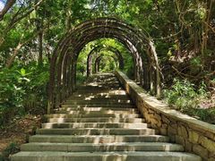 -深圳仙湖植物园