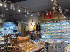 -猫咪博物馆(顶澳仔猫街店)