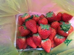 -七宝蔬菜农副产品综合交易市场-停车场