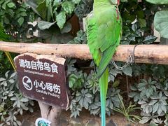 -南宫五洲植物乐园
