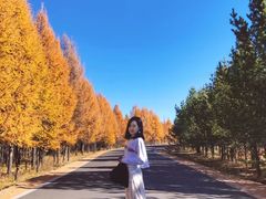 -塞罕坝国家级自然保护区