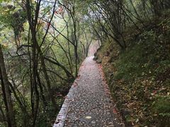 -郧西五龙河风景区