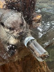 -Zoolung Zoolung动物主题公园(海信广场店)