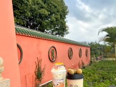 -萃茶师(琅西店)