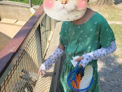 -前小桔亲子创意农场·草莓采摘·露营烧烤