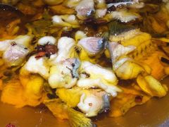 -雲蜀龙阁·金牌水煮鱼(方庄店)