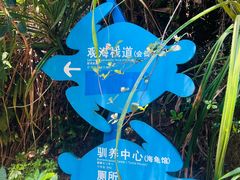 -广东惠东海龟国家级自然保护区