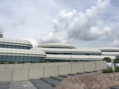 -野狸岛