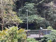 -阿哈湖国家湿地公园