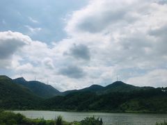 -盐洲岛
