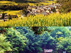-彩色沙林风景区