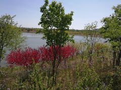 -东郊湿地公园