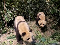 -武汉园博园(武汉自然博物馆)