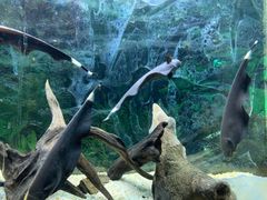 -南昌海洋公园
