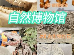 -河南自然博物馆