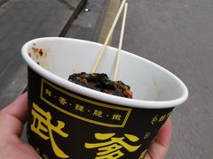 -武爹臭豆腐(坡子街店)