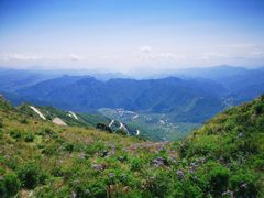 -白草畔自然风景区