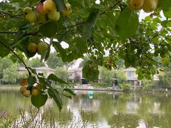 -春晖园度假酒店温泉