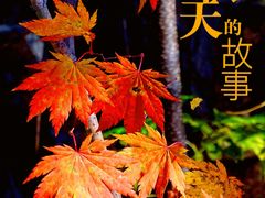 -丹东天桥沟景区