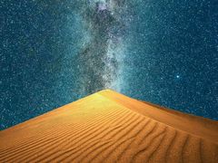 -龙虾风暴(松江店)