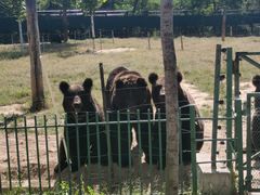 -秦皇岛野生动物园