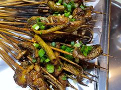 鳝鱼-晓靖轩烧烤(沙河风情店)