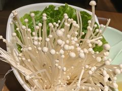-掂档潮汕牛肉火锅(万象城店)