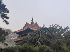 -北陵公园