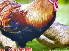 -锅老头海鲜铁锅炖