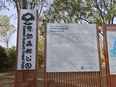 -东郊湿地公园