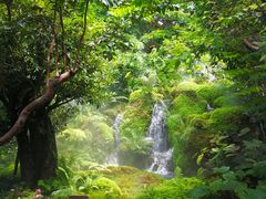 -Chom Cafe and Restaurant