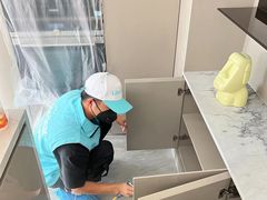 -Liteclear日本进口强效除甲醛检测治理(旗舰店)