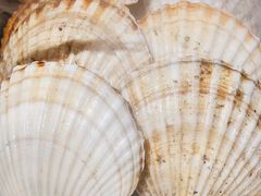 -KAOKAO烤烤·丹东海鲜烧烤(望京店)