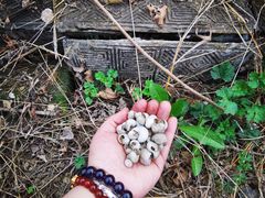 -汉长安城未央宫国家考古遗址公园